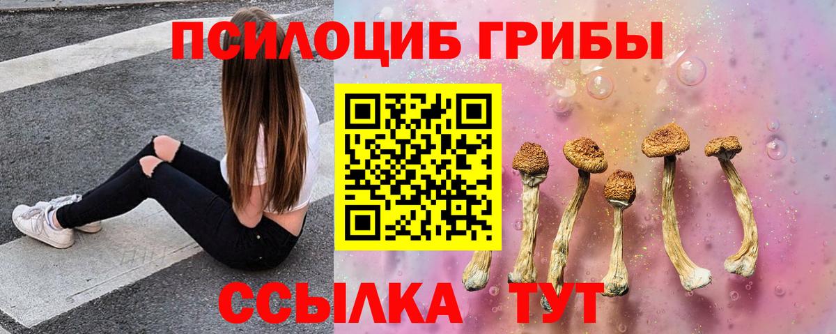 Псилоцибиновые грибы Magic Shrooms Тихорецк
